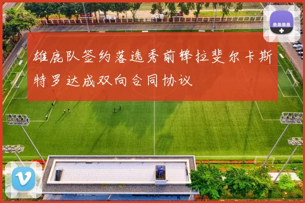 雄鹿队签约落选秀前锋拉斐尔卡斯特罗达成双向合同协议